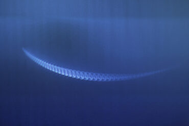 Sinusoid, 2015