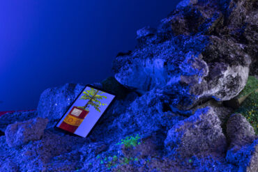 NEW EXTREMOPHILES, 2024