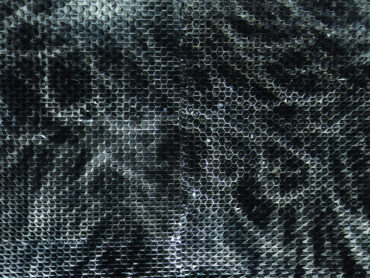 Disangaged, 2017