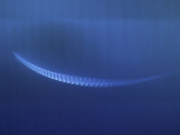 Sinusoid, 2015