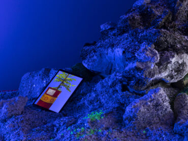 NEW EXTREMOPHILES, 2024
