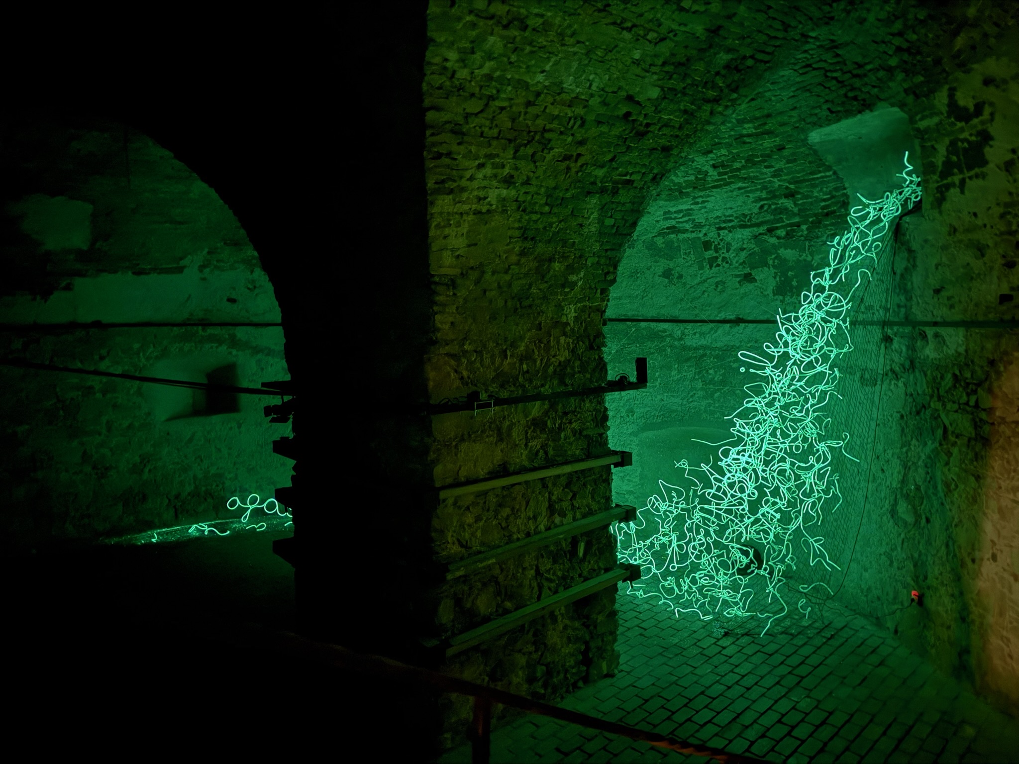 OOZE, 2026